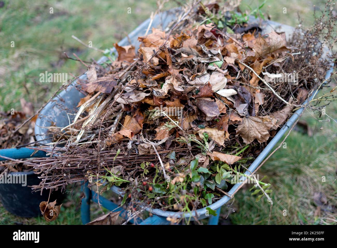 Schubkarre mit Biomasse Stockfoto