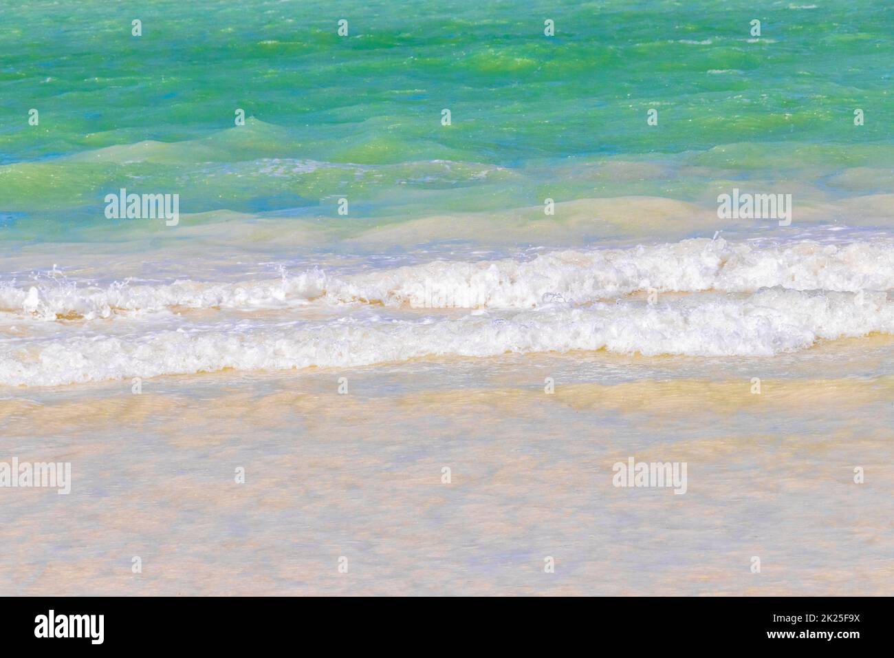 Wunderschöne Holbox Insel Strand Sandbank türkisklare Wasserwellen Mexiko. Stockfoto