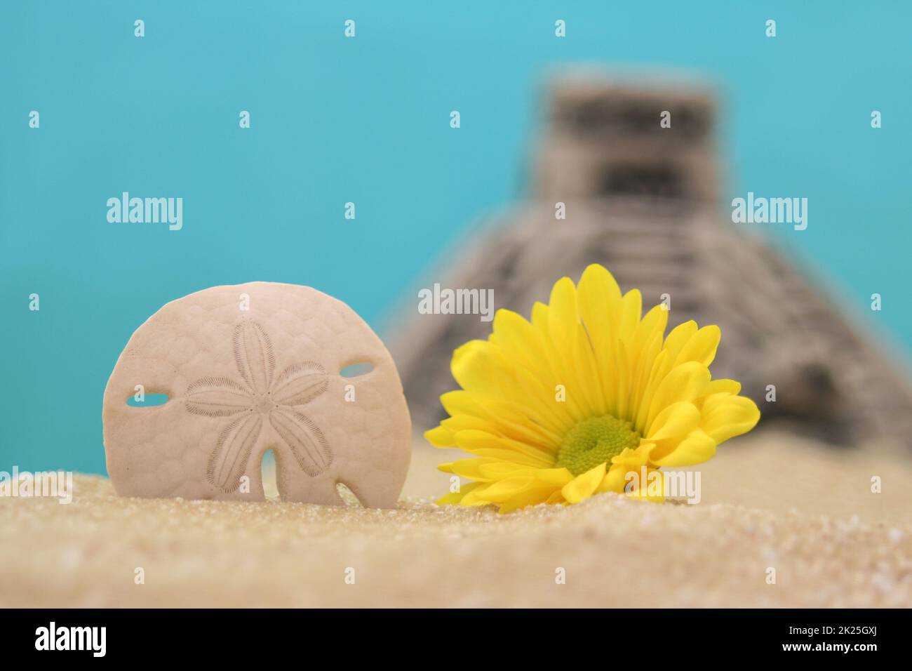 Blumen- und Sanddollar auf Sand mit Pyramide im Hintergrund Stockfoto