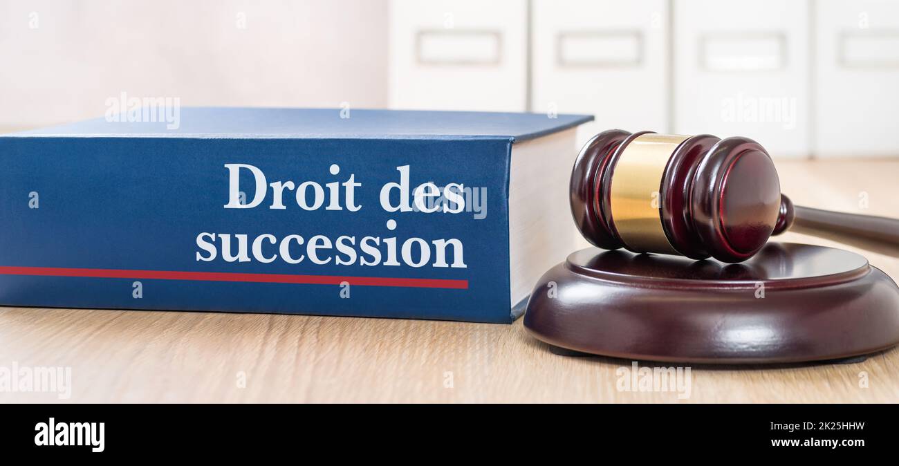 Rechtsbuch mit einem Gavel - Erbrecht auf französisch - Droit des Succession Stockfoto