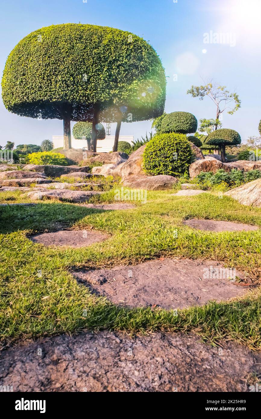 Malerischer japanischer Garten.Chinesischer japanischer Garten topiary Dcoration Design Strauch Form. Stockfoto