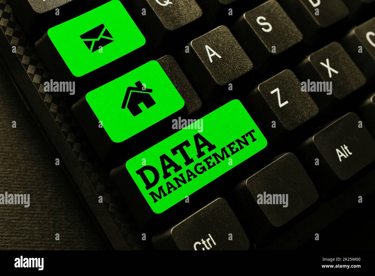 Textzeichen mit Datenverwaltung. Geschäftsidee die Praxis, Datenprozesse zu organisieren und zu pflegen Abstract Creating Online Typing Services, Learning Computer Program Codes Stockfoto