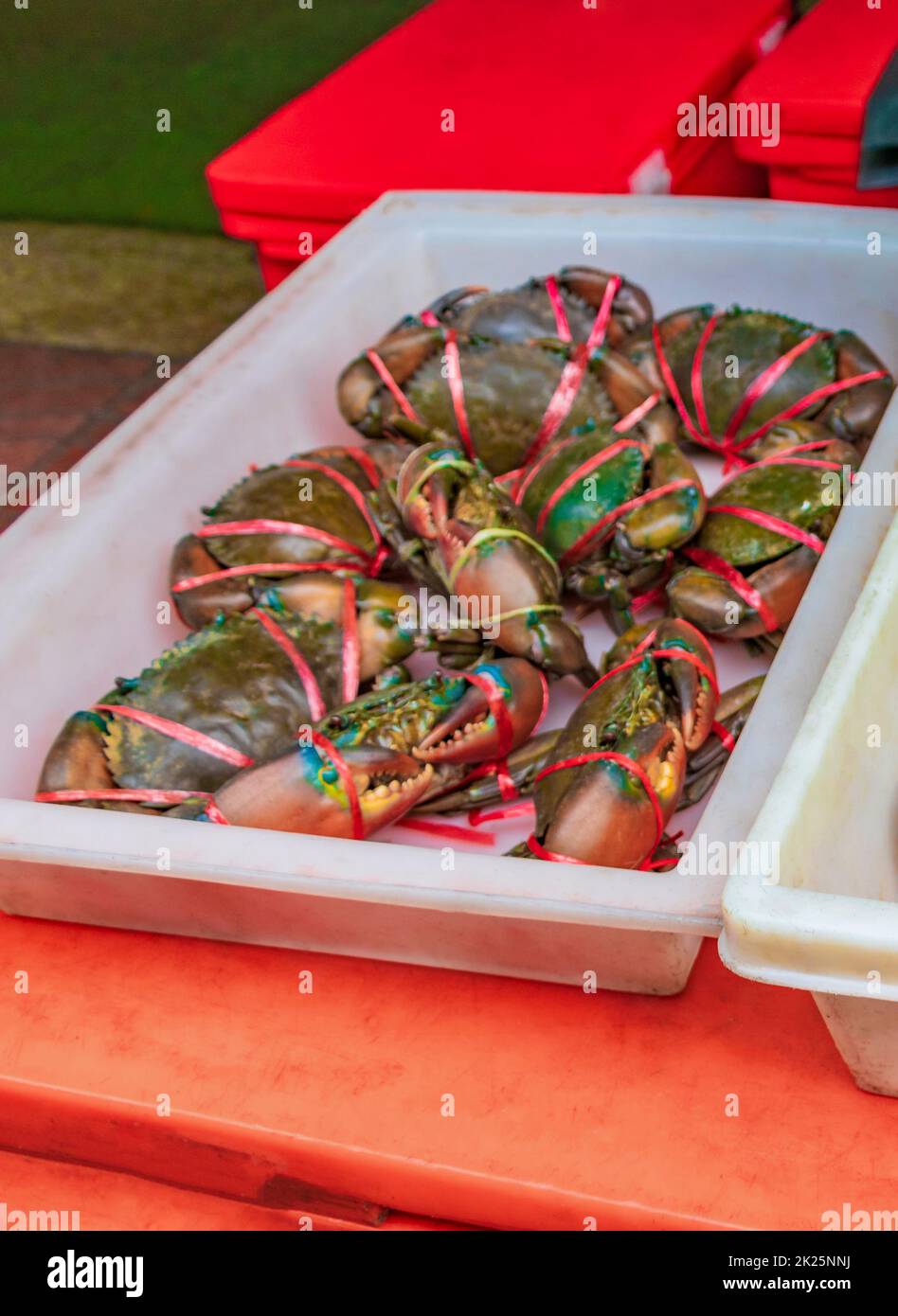 Meeresfrüchte lebende Krabben Muscheln Krebstiere thailändischer Markt China Town Bangkok. Stockfoto