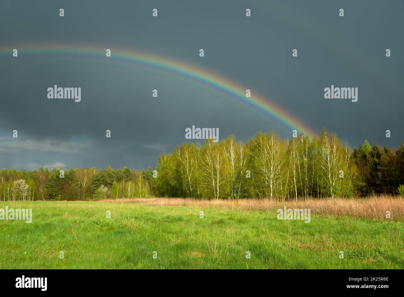 Regenbogen und dunkle Wolke über dem Wald, Czulczyce, Polen Stockfoto