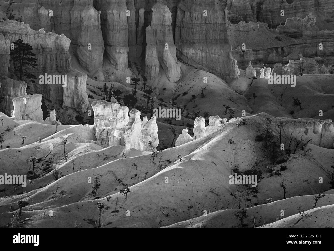 Schöne Landschaft im Bryce Canyon mit herrlichen Stein Bildung wie Amphitheater, Tempel, Zahlen im Morgenlicht Stockfoto