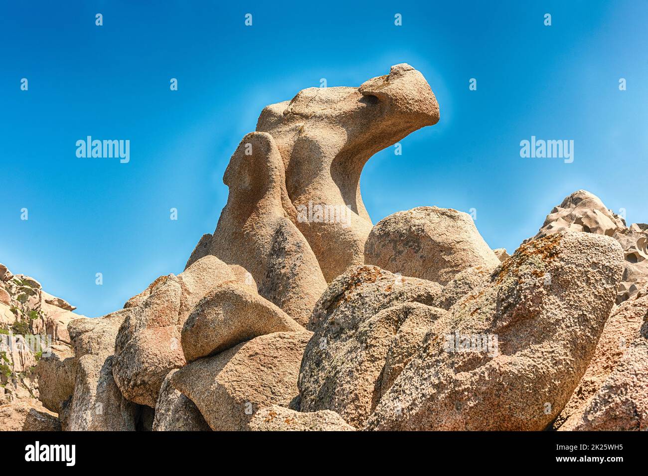 Drachen geformter Granitfelsen an einem Strand, Nordsardinien, Italien Stockfoto