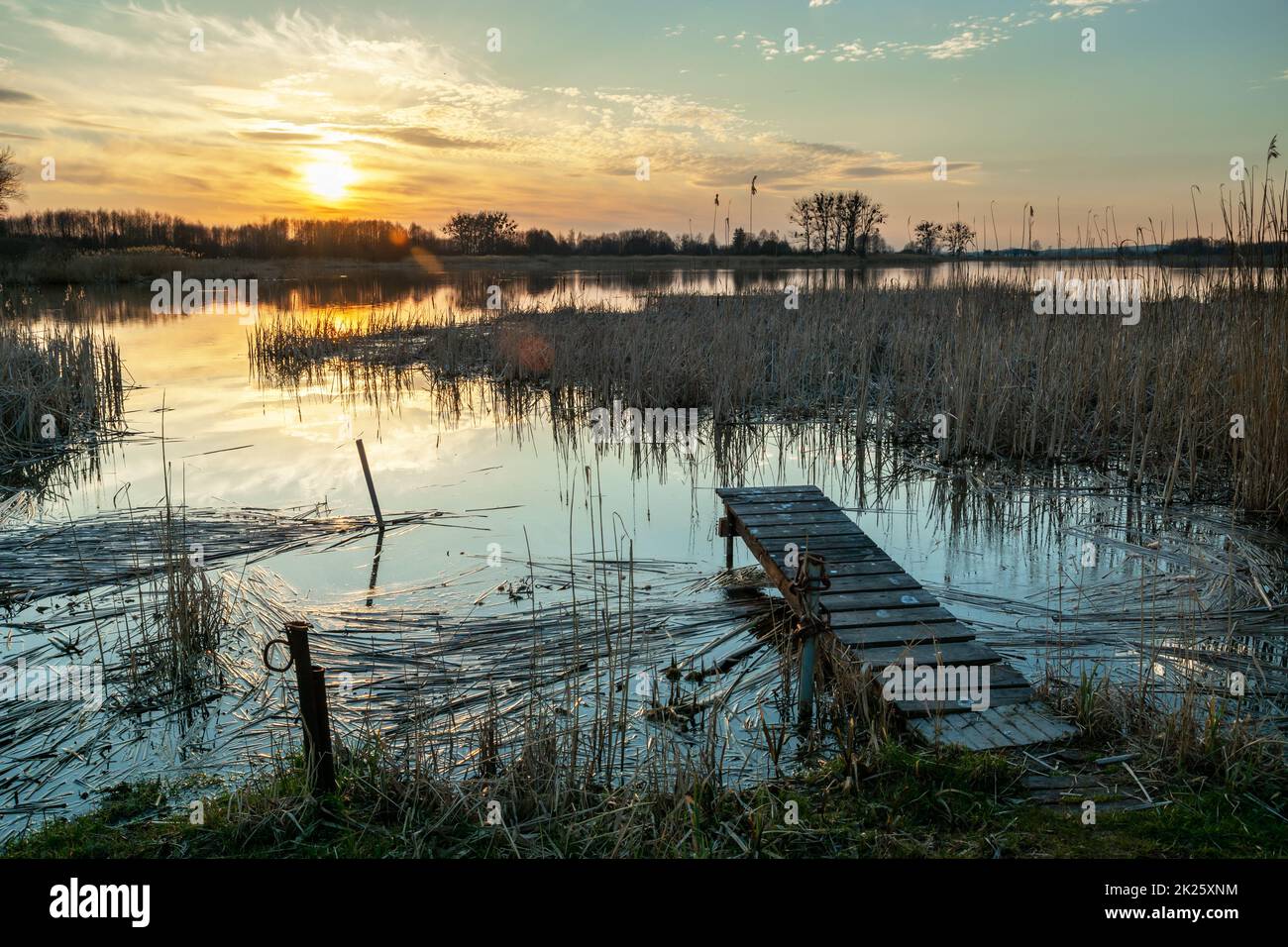 Eine kleine Fußgängerbrücke am Ufer eines Sees mit Schilf Stockfoto