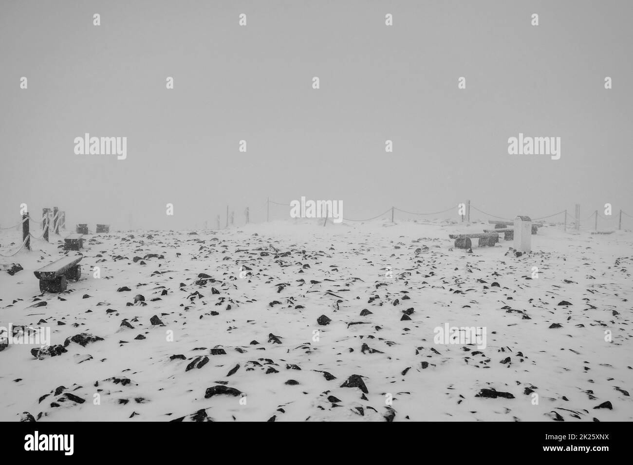 Frostbedeckte gefrorene Holzbänke. Winterlandschaft. Schwarz und Weiß. Stockfoto