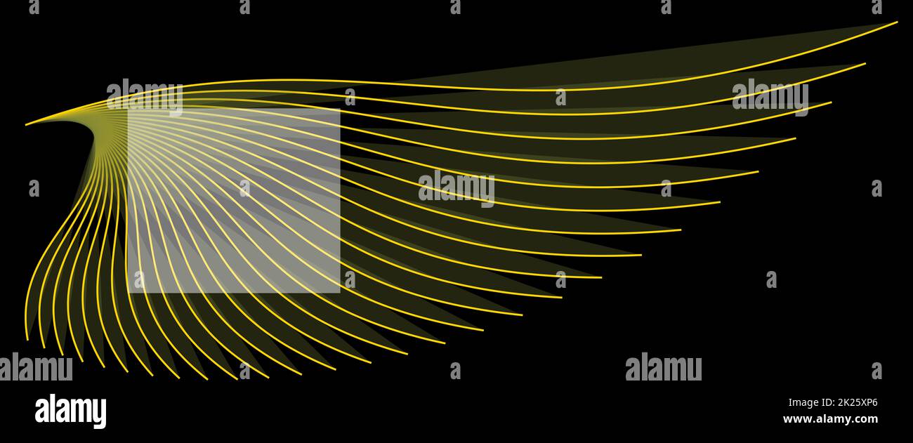 Vogelflügel in Goldfarbe auf einem schwarzen Hintergrund Vektorvorlage. Stockfoto