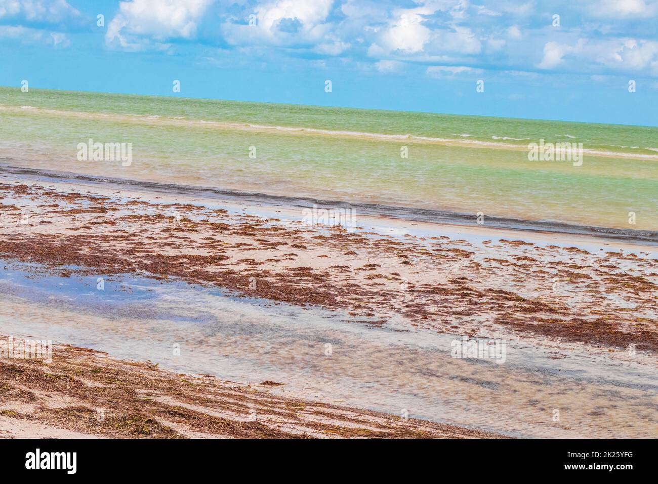 Natürliche Holbox Insel Strand Sandbank Panorama türkis Wasser Wellen Mexiko. Stockfoto