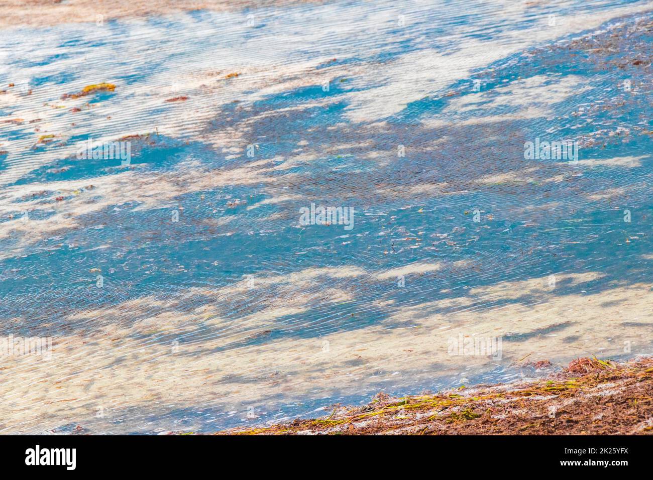 Natürliche Holbox Insel Strand Sandbank grüne türkisfarbene Wasserwellen Mexiko. Stockfoto