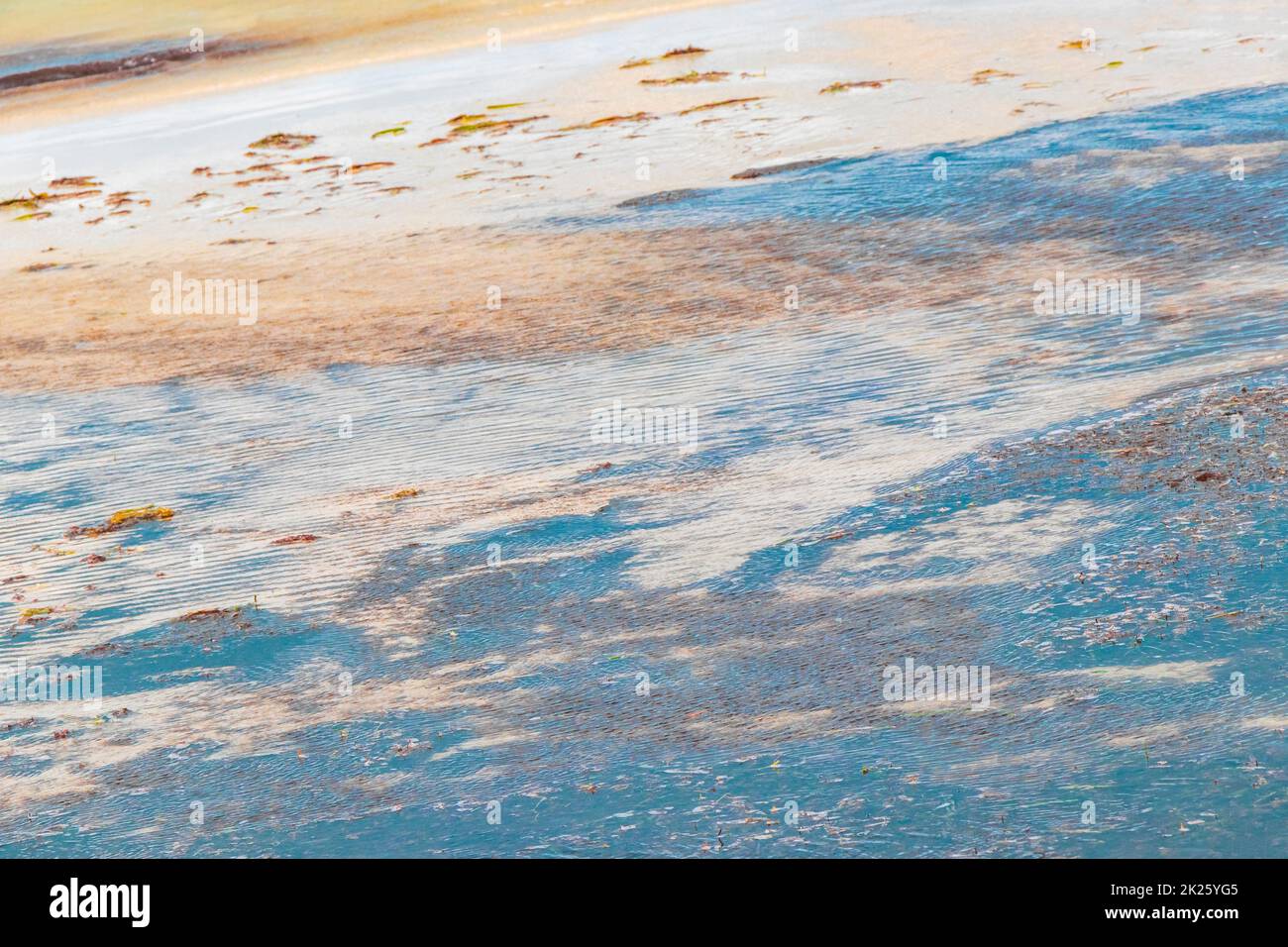 Natürliche Holbox Insel Strand Sandbank grüne türkisfarbene Wasserwellen Mexiko. Stockfoto