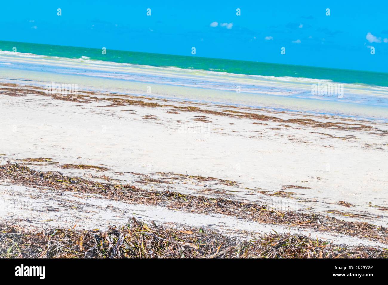 Natürliche Holbox Insel Strand Sandbank Panorama türkis Wasser Wellen Mexiko. Stockfoto