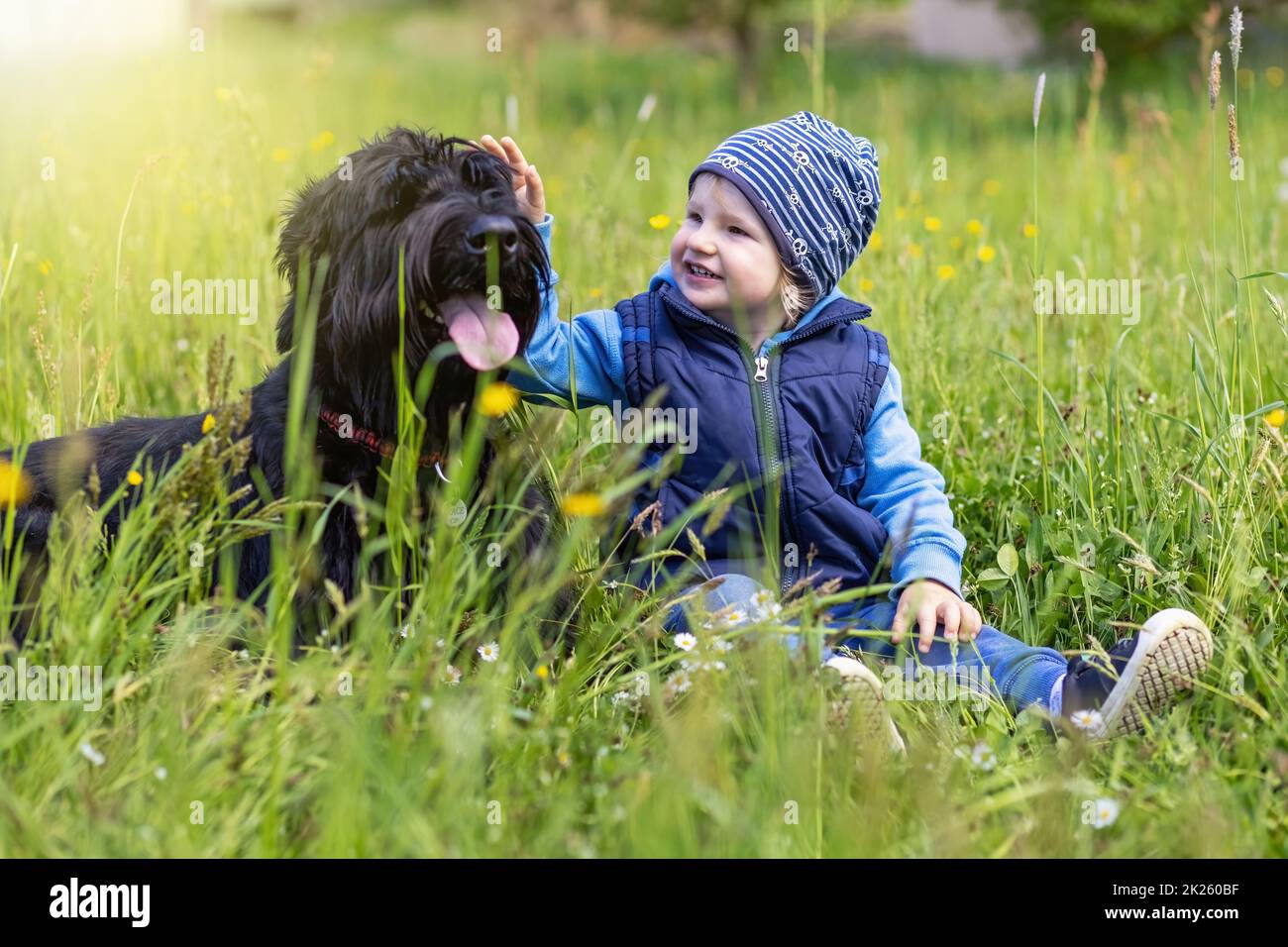 Der süße kleine Junge sitzt im Gras zusammen mit einem großen schwarzen Schnauzer-Hund. Stockfoto