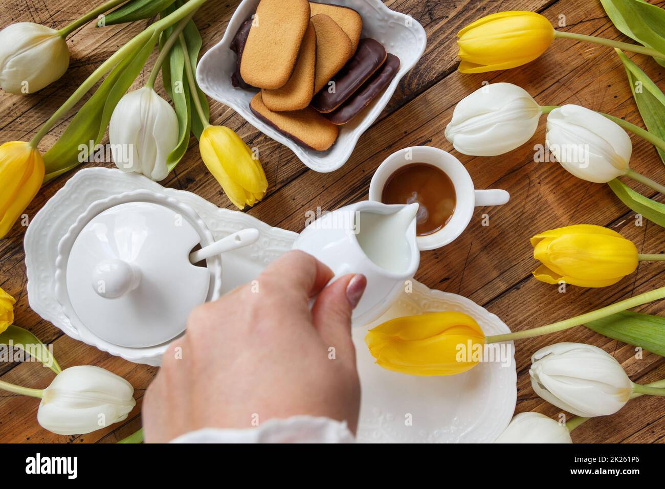 Gieße von Hand Milch in Kaffee in der Nähe von weißen und gelben Tulpen auf einem Holztisch Stockfoto