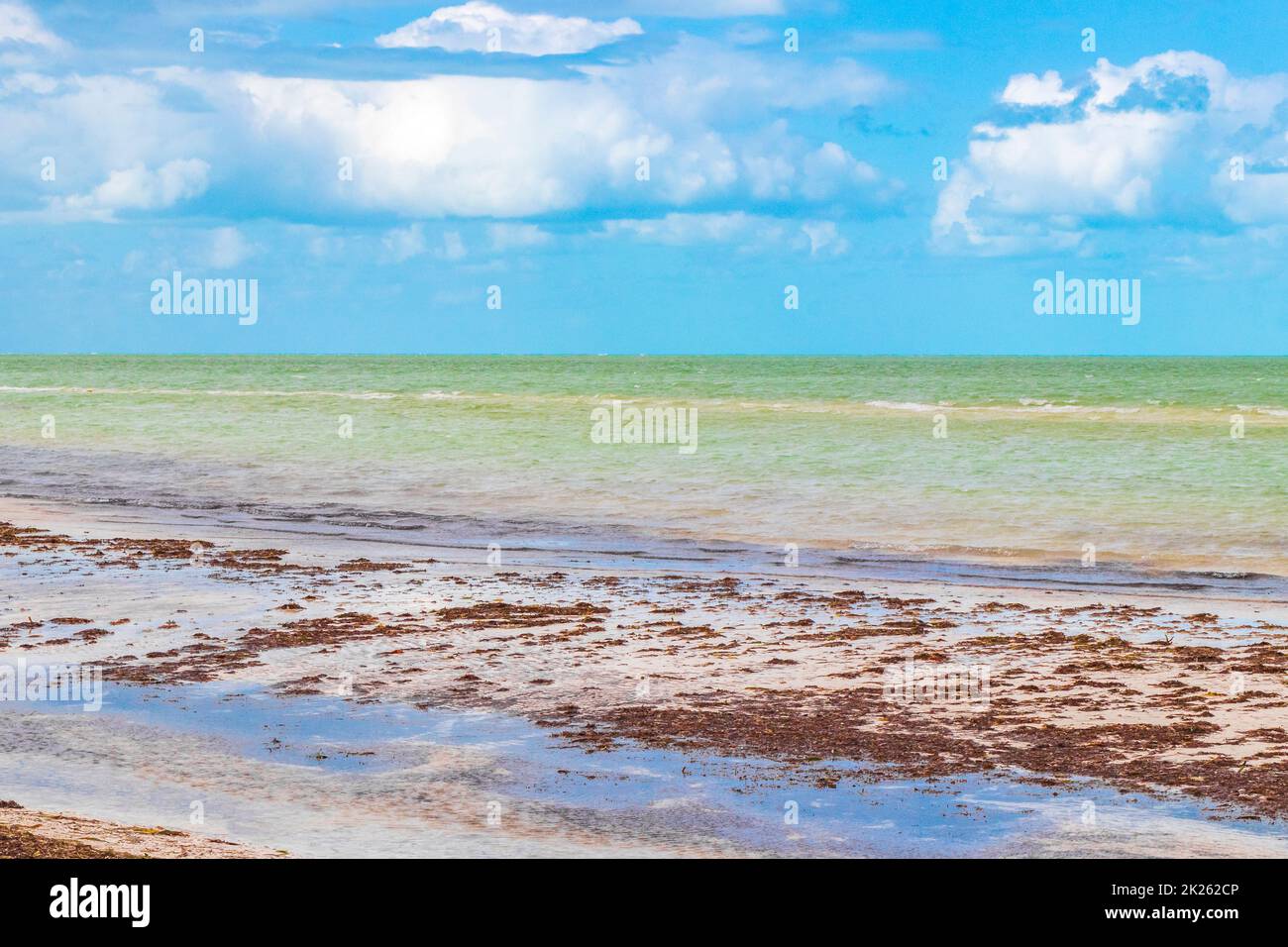 Natürliche Holbox Insel Strand Sandbank Panorama türkis Wasser Wellen Mexiko. Stockfoto