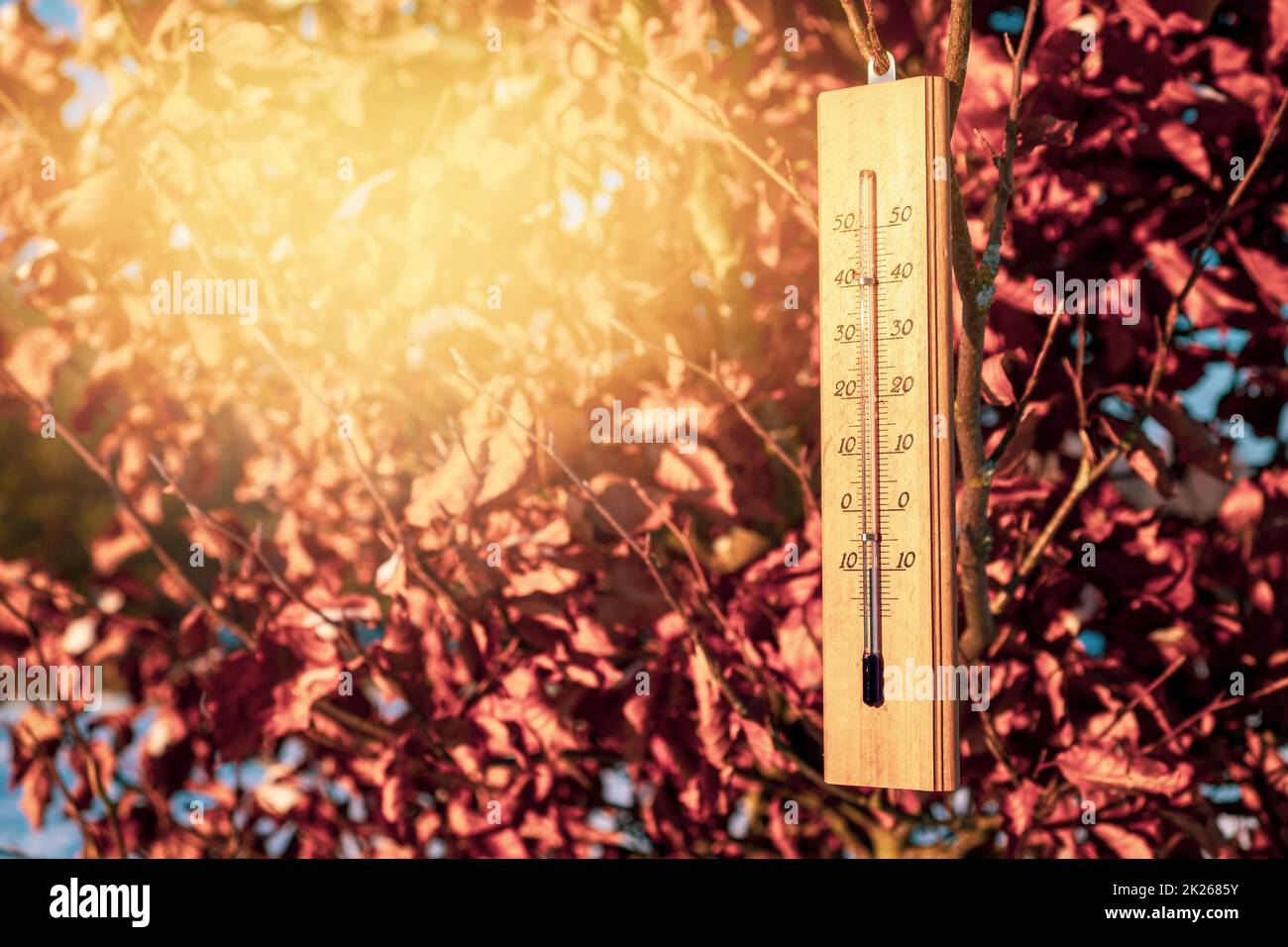 Das Thermometer auf einem Baum zeigt eine Minus-Temperatur an Stockfoto