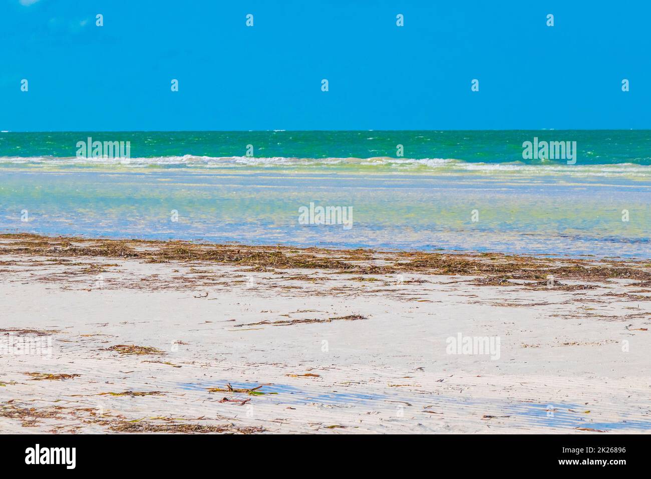Natürliche Holbox Insel Strand Sandbank Panorama türkis Wasser Wellen Mexiko. Stockfoto