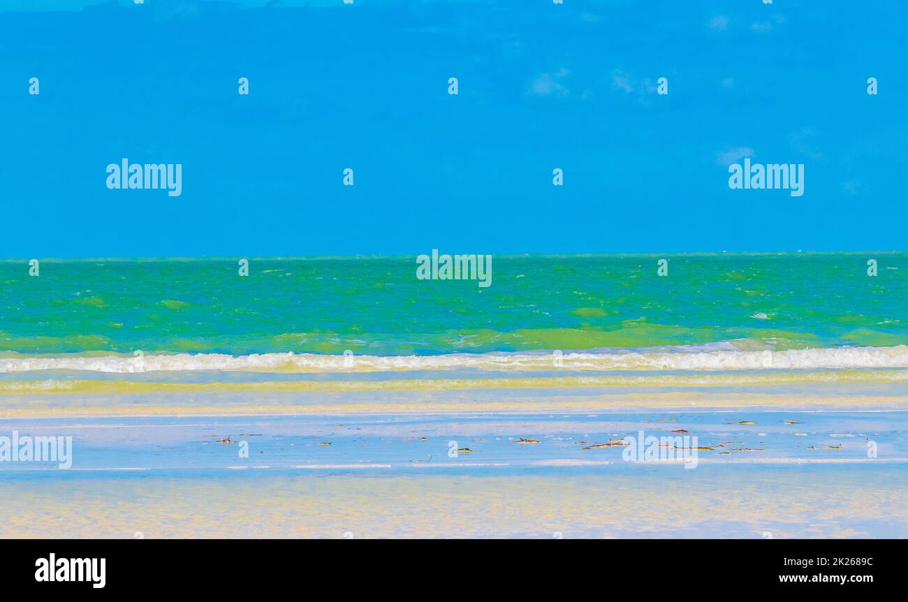 Natürliche Holbox Insel Strand Sandbank Panorama türkis Wasser Wellen Mexiko. Stockfoto