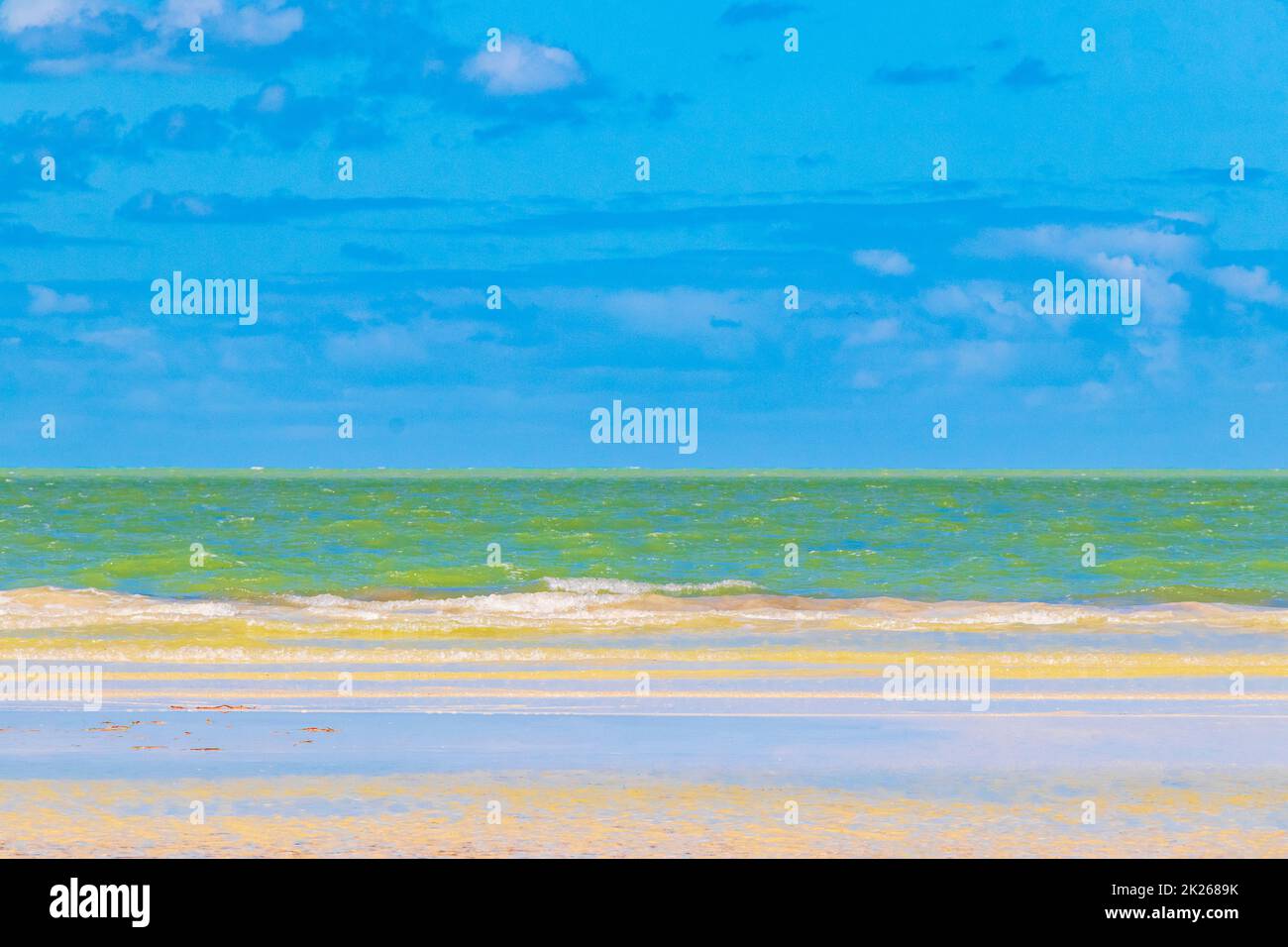 Natürliche Holbox Insel Strand Sandbank Panorama türkis Wasser Wellen Mexiko. Stockfoto