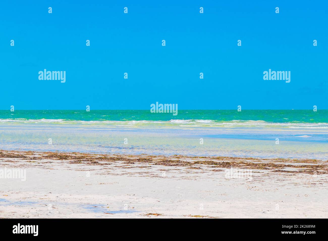 Natürliche Holbox Insel Strand Sandbank Panorama türkis Wasser Wellen Mexiko. Stockfoto