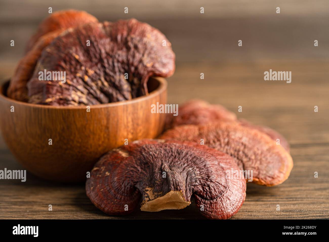 Getrockneter Lingzhi-Pilz isoliert auf weißem Hintergrund mit Clipping-Pfad. Stockfoto
