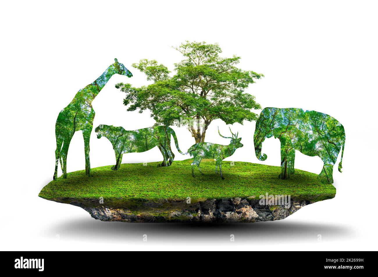 World Wildlife Day Wald Silhouette in Form eines wilden Tier Tierwelt und Waldschutz Konzept Stockfoto