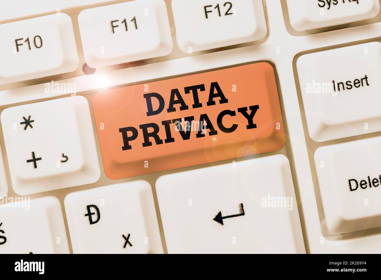 Schild mit Anzeige des Datenschutzes. Geschäftskonzept Internetsicherheit und digitaler Schutz der Website oder Landing Homepage Abstract Typing Statistical Records, Creating New Internet Website Stockfoto