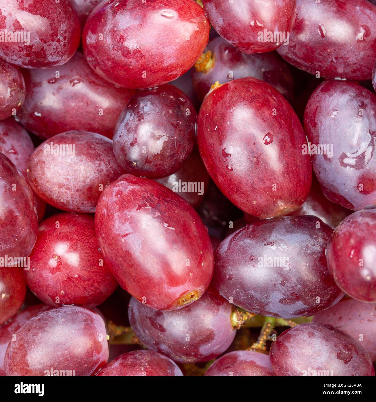 Rote Weintrauben Trauben Früchte Obsthintergrund von oben Stockfoto