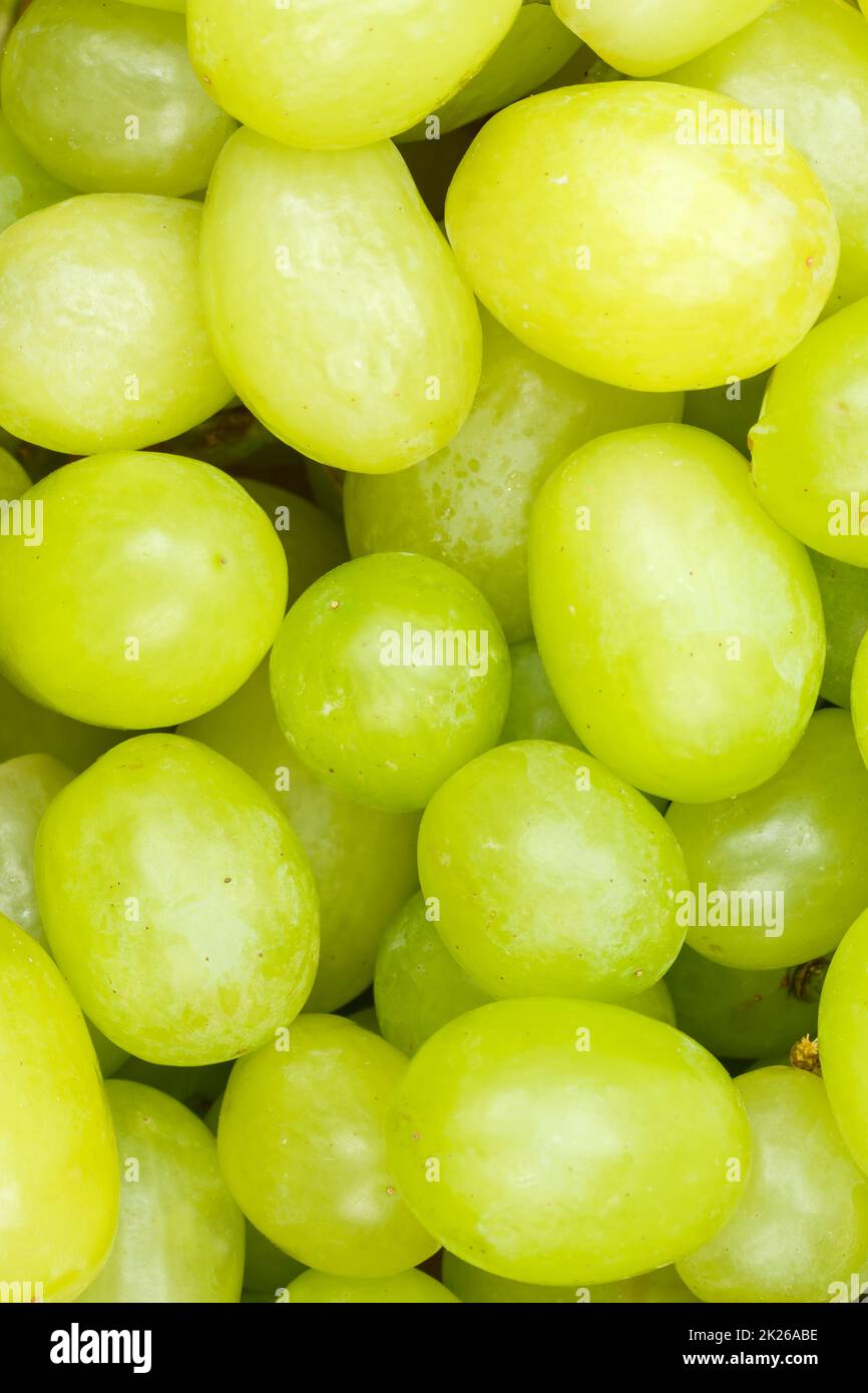 Grüne Trauben Trauben Trauben Früchte Obsthintergrund von oben Hochformat Stockfoto