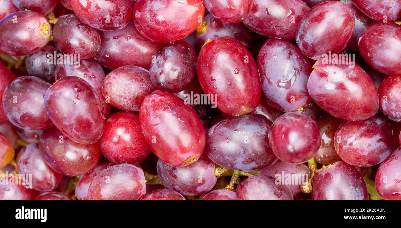 Rote Trauben Trauben Früchte Früchte Hintergrund von oben Panorama Stockfoto