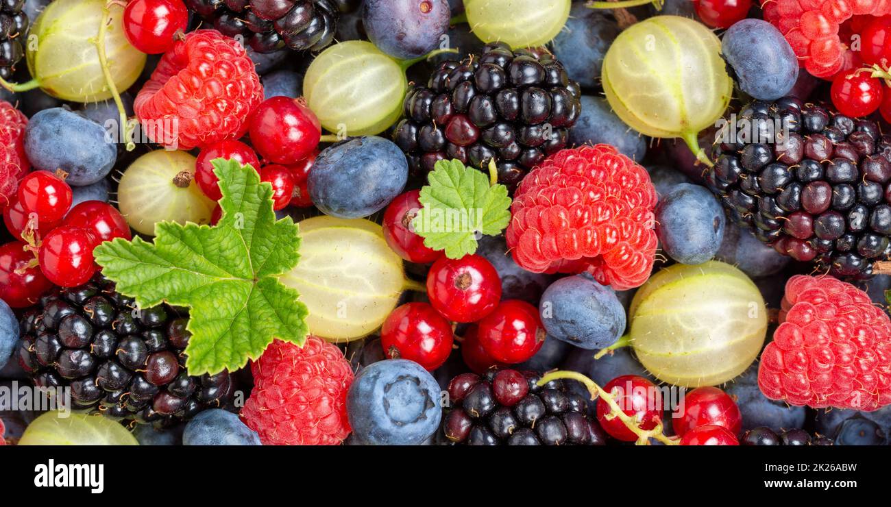 Beeren Früchte Beeren Erdbeeren Erdbeeren Heidelbeeren Heidelbeeren von oben Panorama Stockfoto