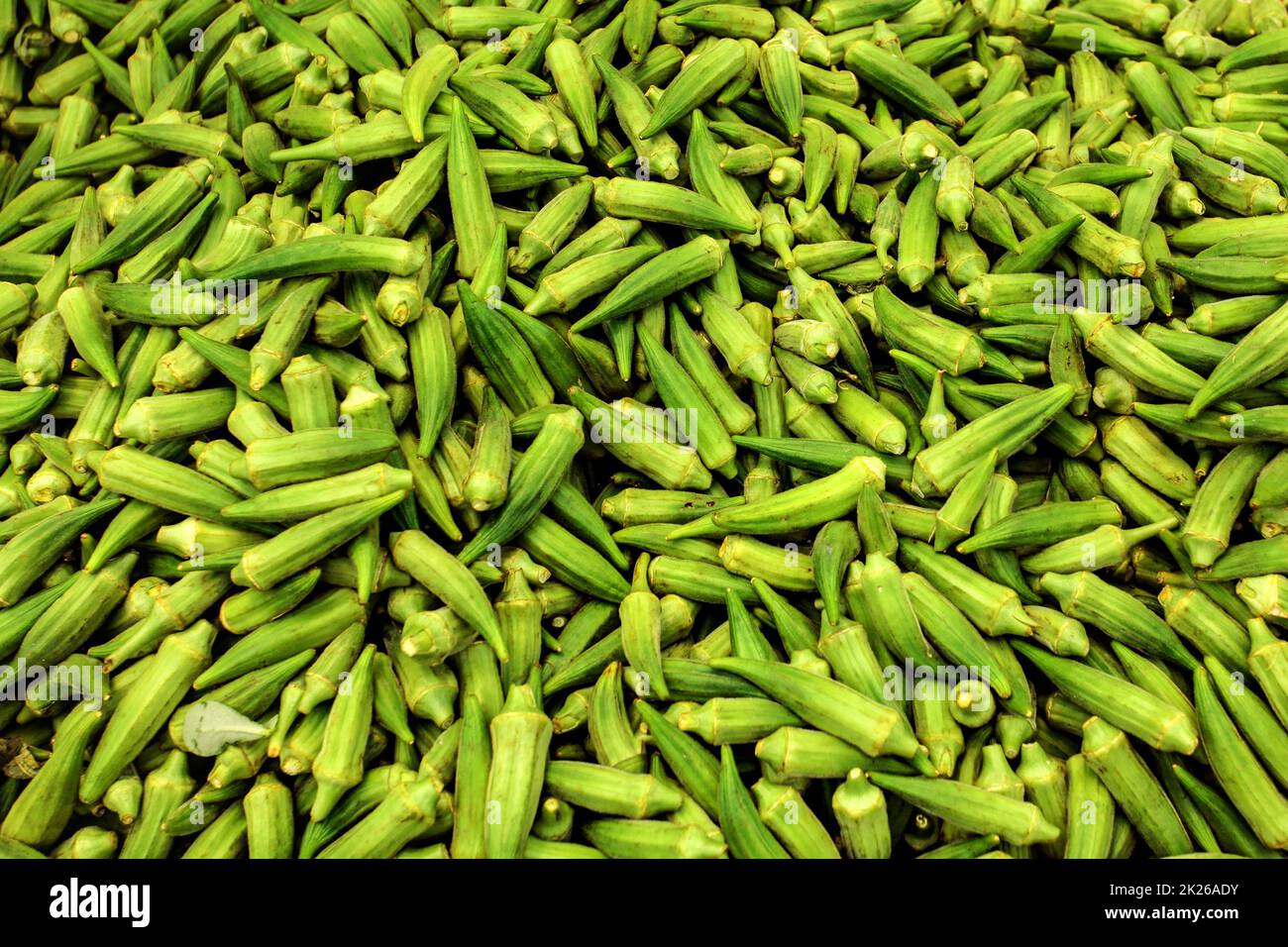 Haufen Okra (okro/ochro) auf dem Lebensmittelmarkt in Zypern. Stockfoto
