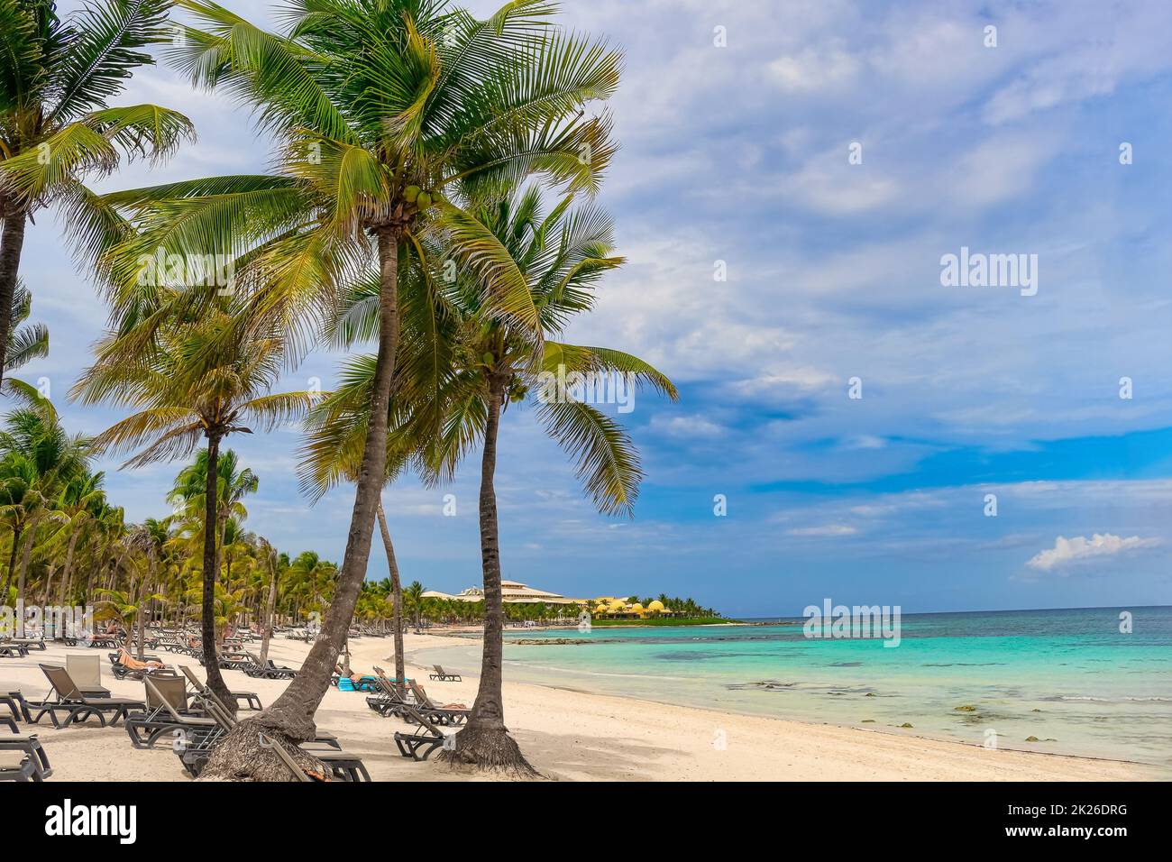 Schöner Strand der mexikanischen Karibik mit Kokospalmen als Wächter Stockfoto