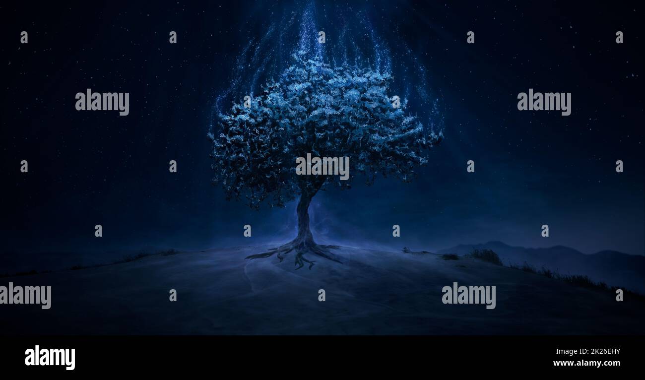 Magischer Baum, der Magie auf dem Hügel verbreitet Stockfoto