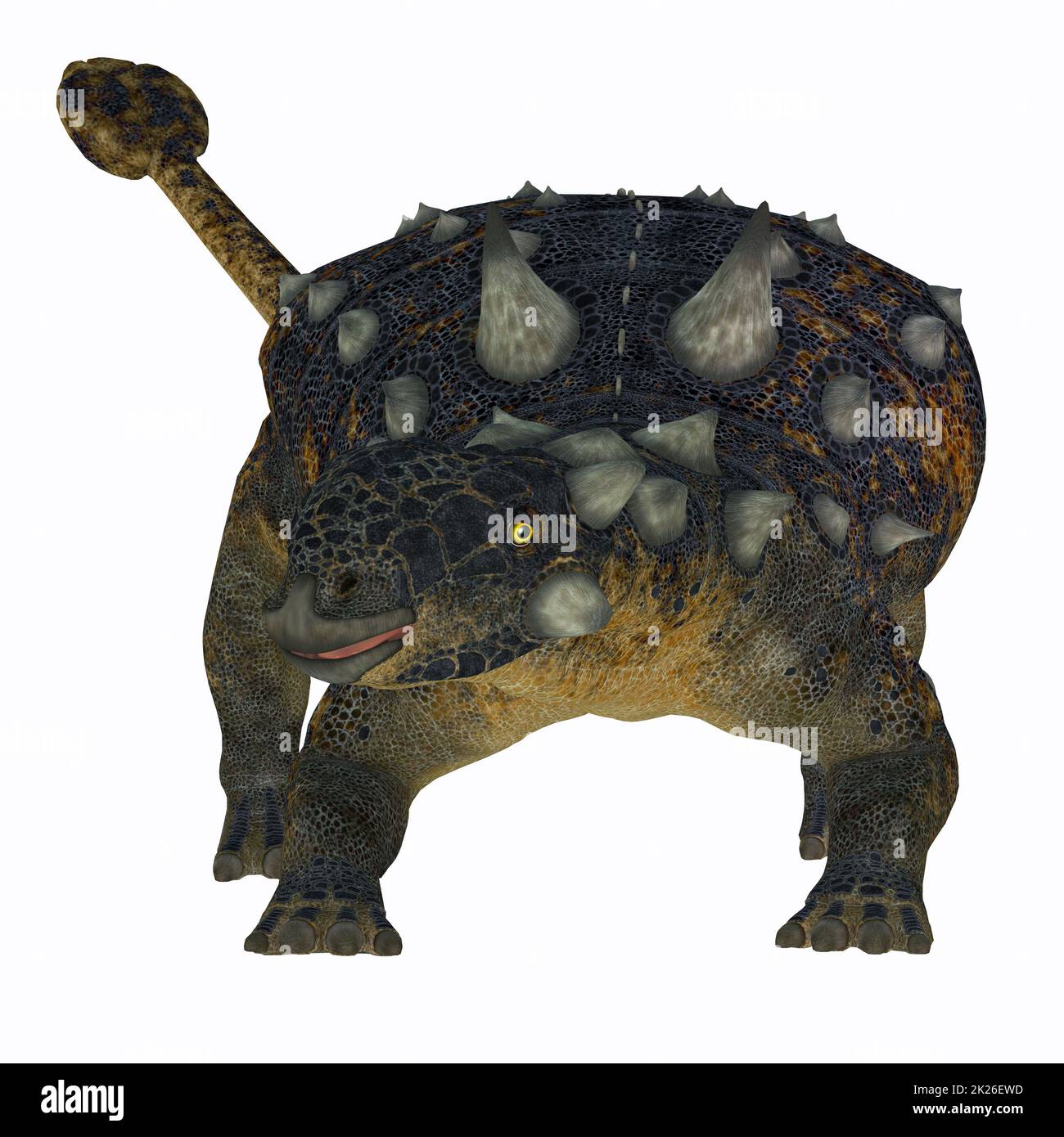 Euoplocephalus Ankylosaur Dinosaur Stockfoto