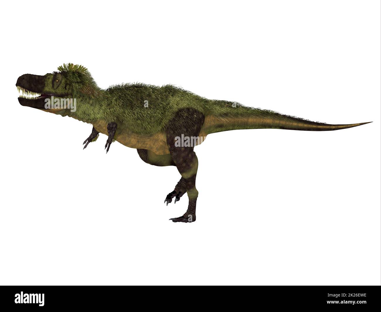 Tarbosaurus Gefiederter Dinosaurier Stockfoto