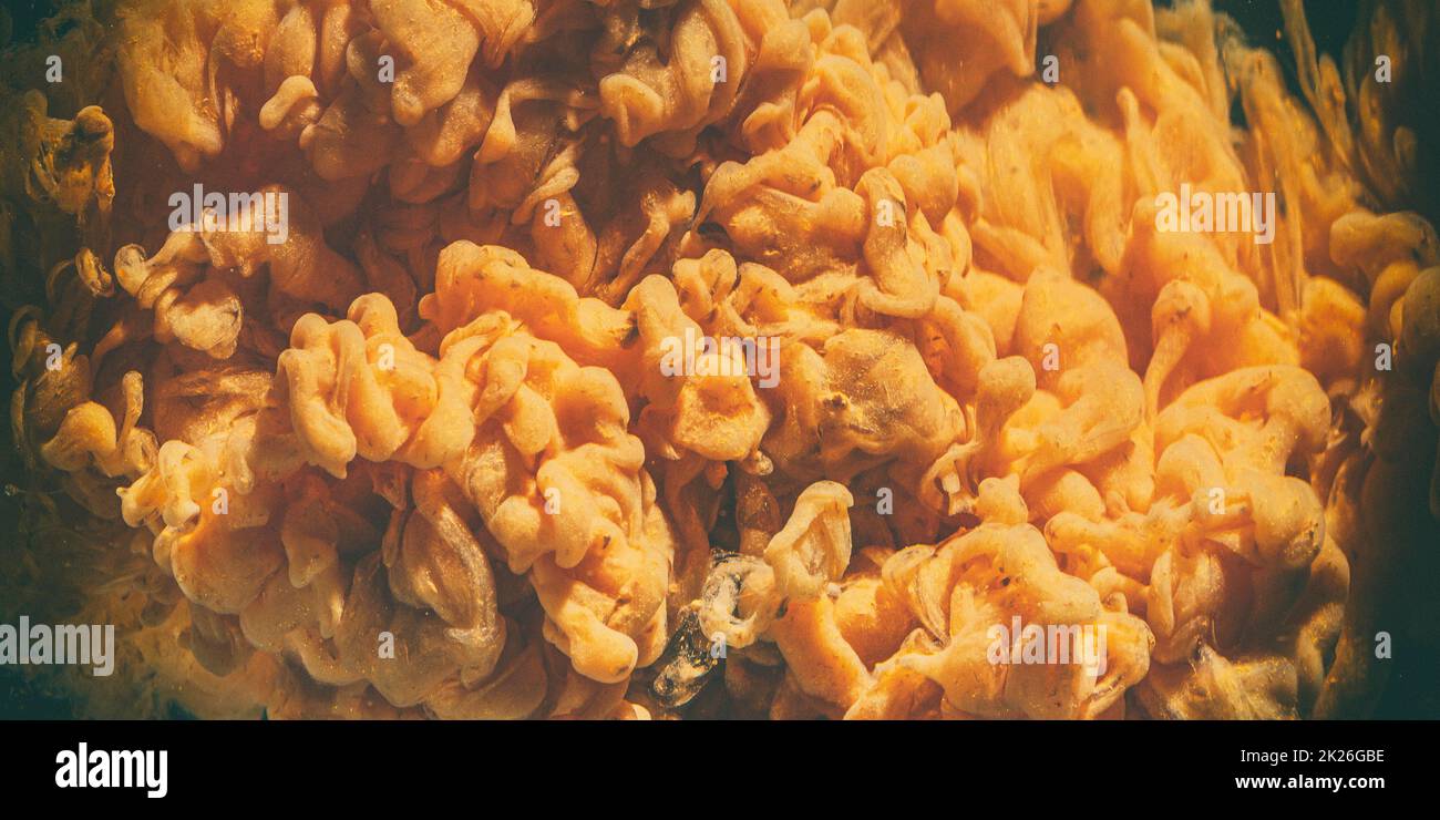 Farbige Tinte, die sich in Wasser ausdehnt. Stockfoto