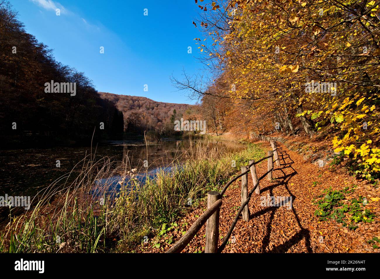 Wanderweg Im Herbst Stockfoto