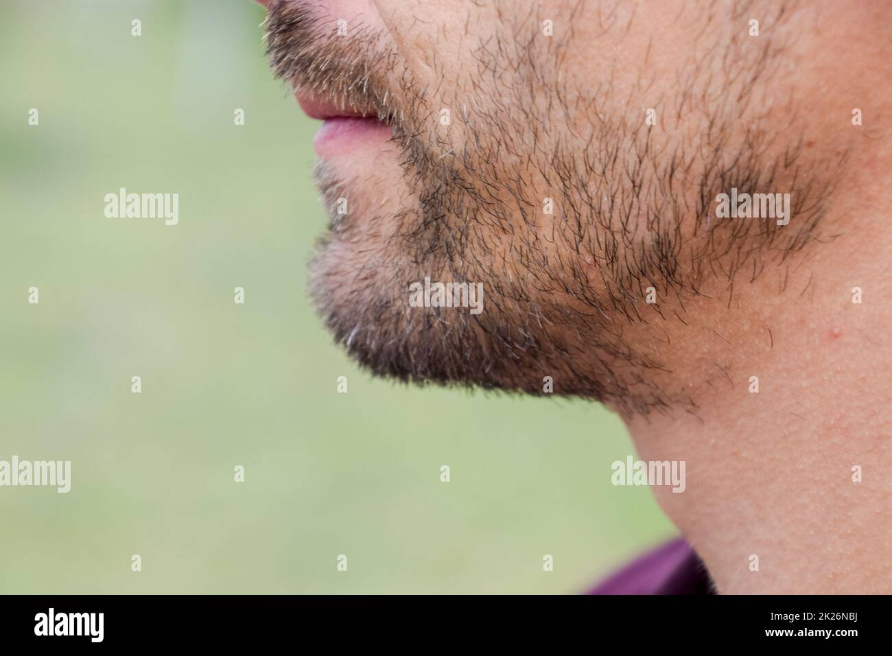 Ein Mann mit Bart. Bart im Gesicht eines jungen Mannes. Stockfoto
