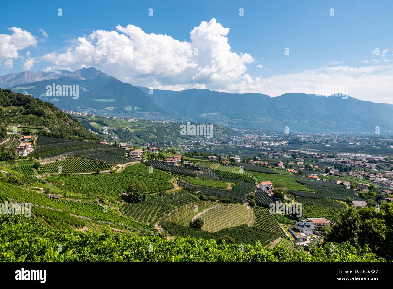 Sehen Sie sich Merano, das Dorf Tirol und Weinberge, Südtirol, Italien an Stockfoto