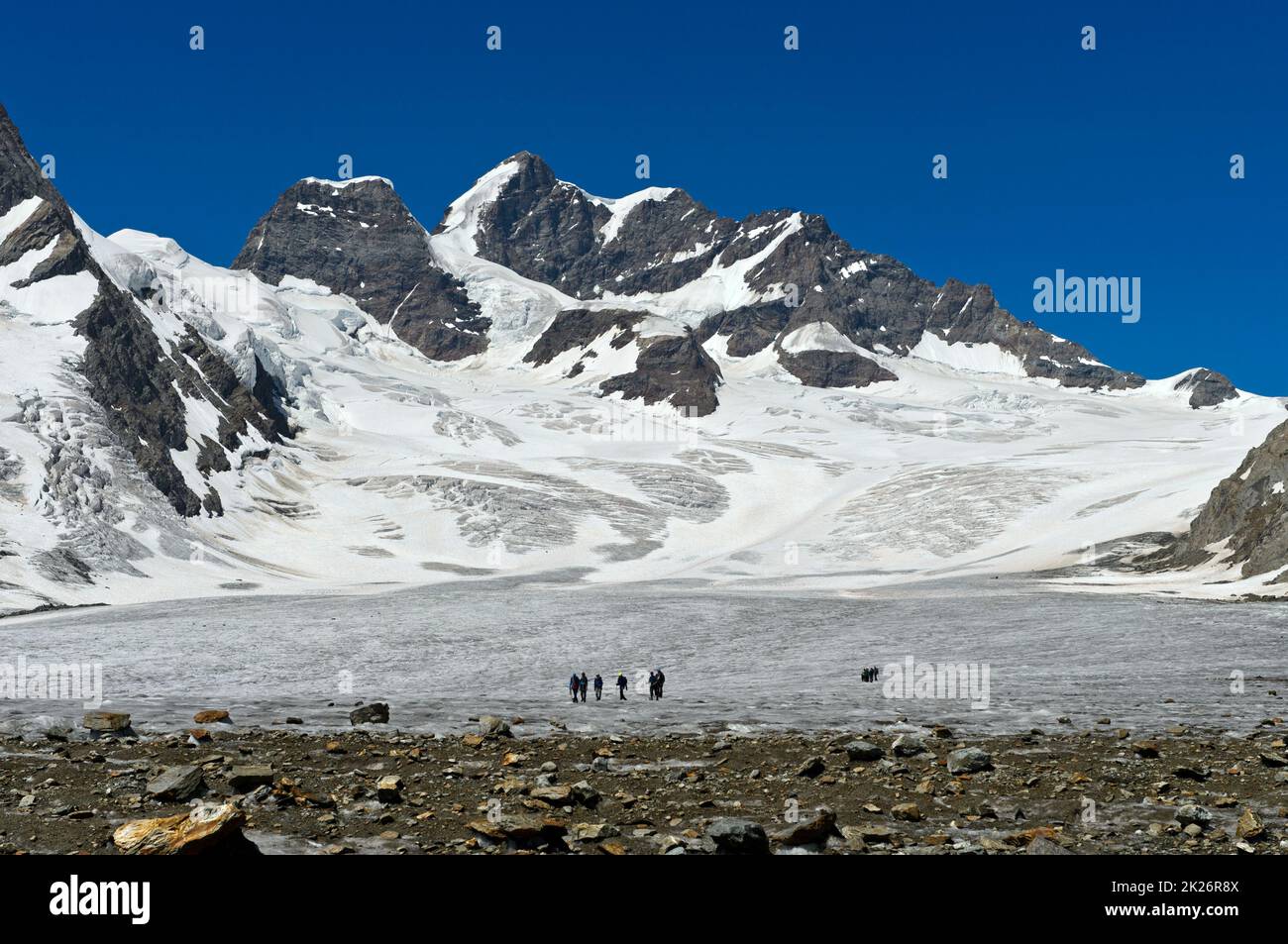 Eine Gruppe Alpinisten auf dem Eisfeld des Jungfraufirn, Jungfraugipfel dahinter, UNESCO-Weltkulturerbe Schweizer Alpen Jungfrau-Aletsch, Schweiz Stockfoto
