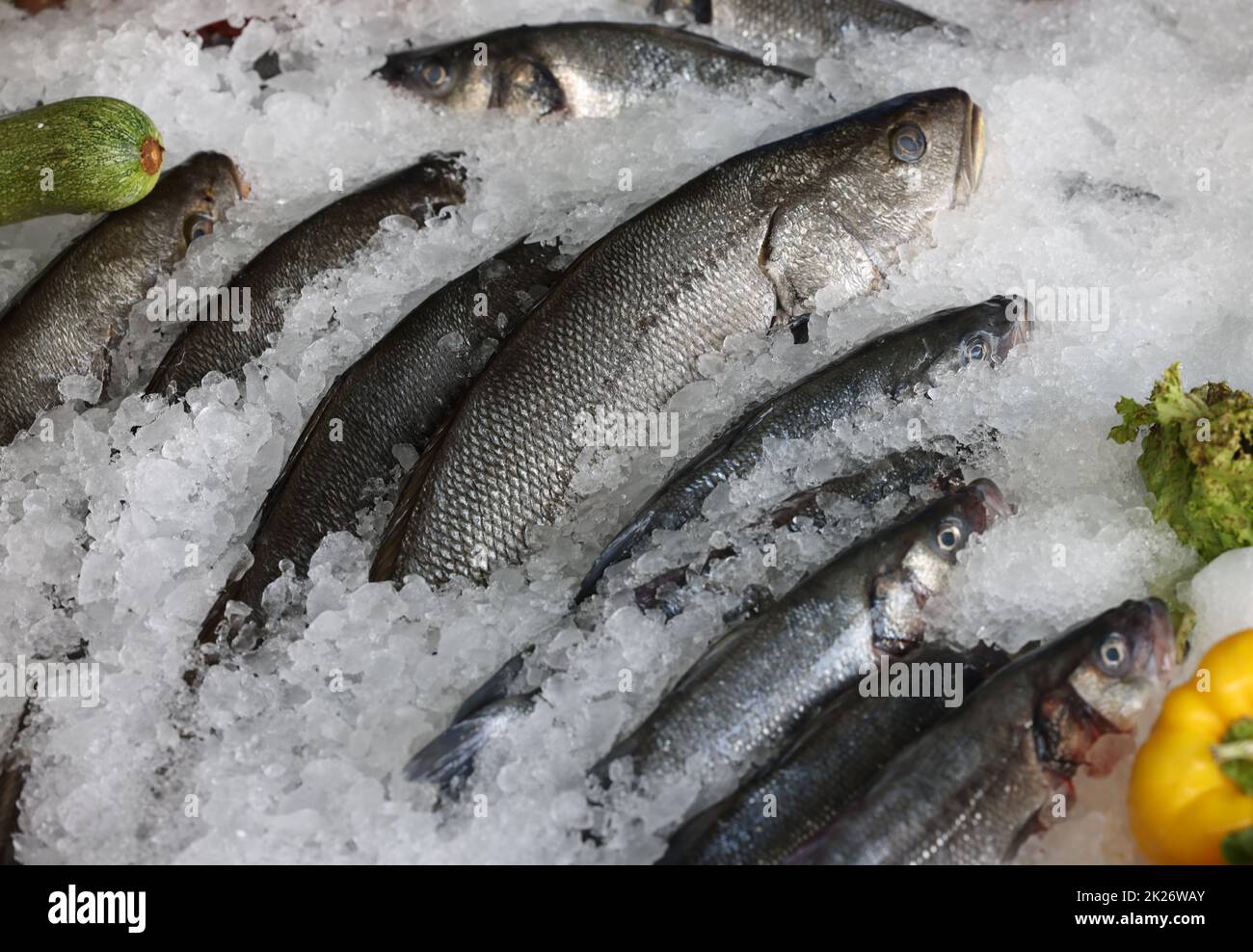 Frische Meeresfrüchte und Fische liegen auf Eis im Showcase. Rethymno auf Kreta Stockfoto