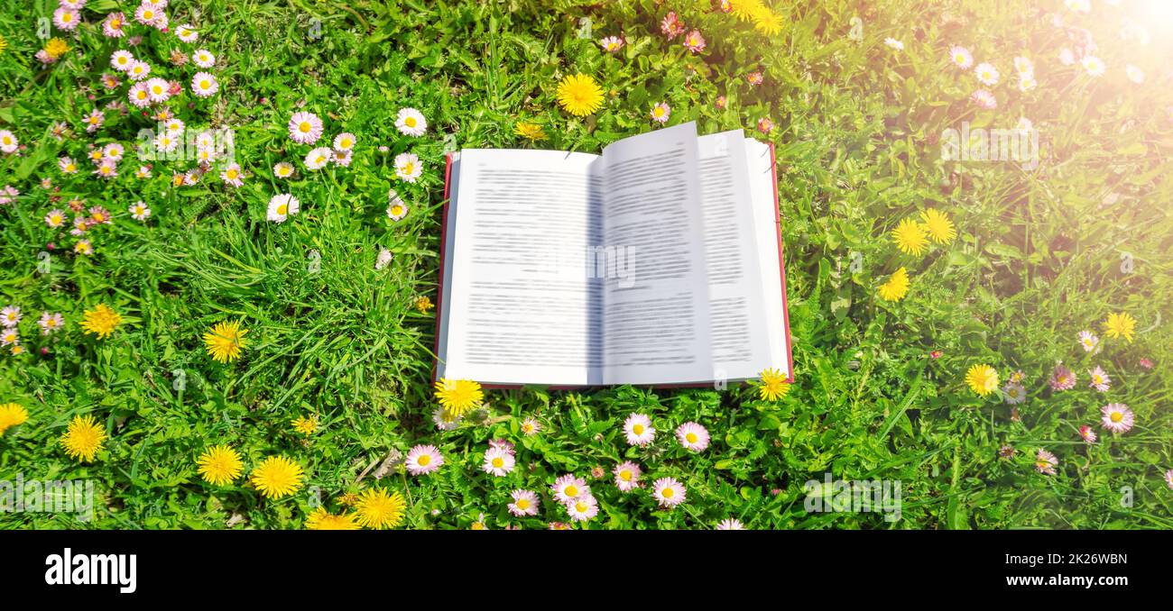 Öffnen Sie das Buch im Gras auf dem Feld an sonnigen Tagen. Stockfoto