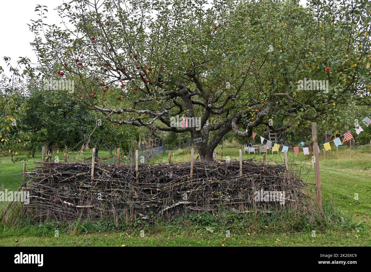 Deadwood-Zaun Stockfoto