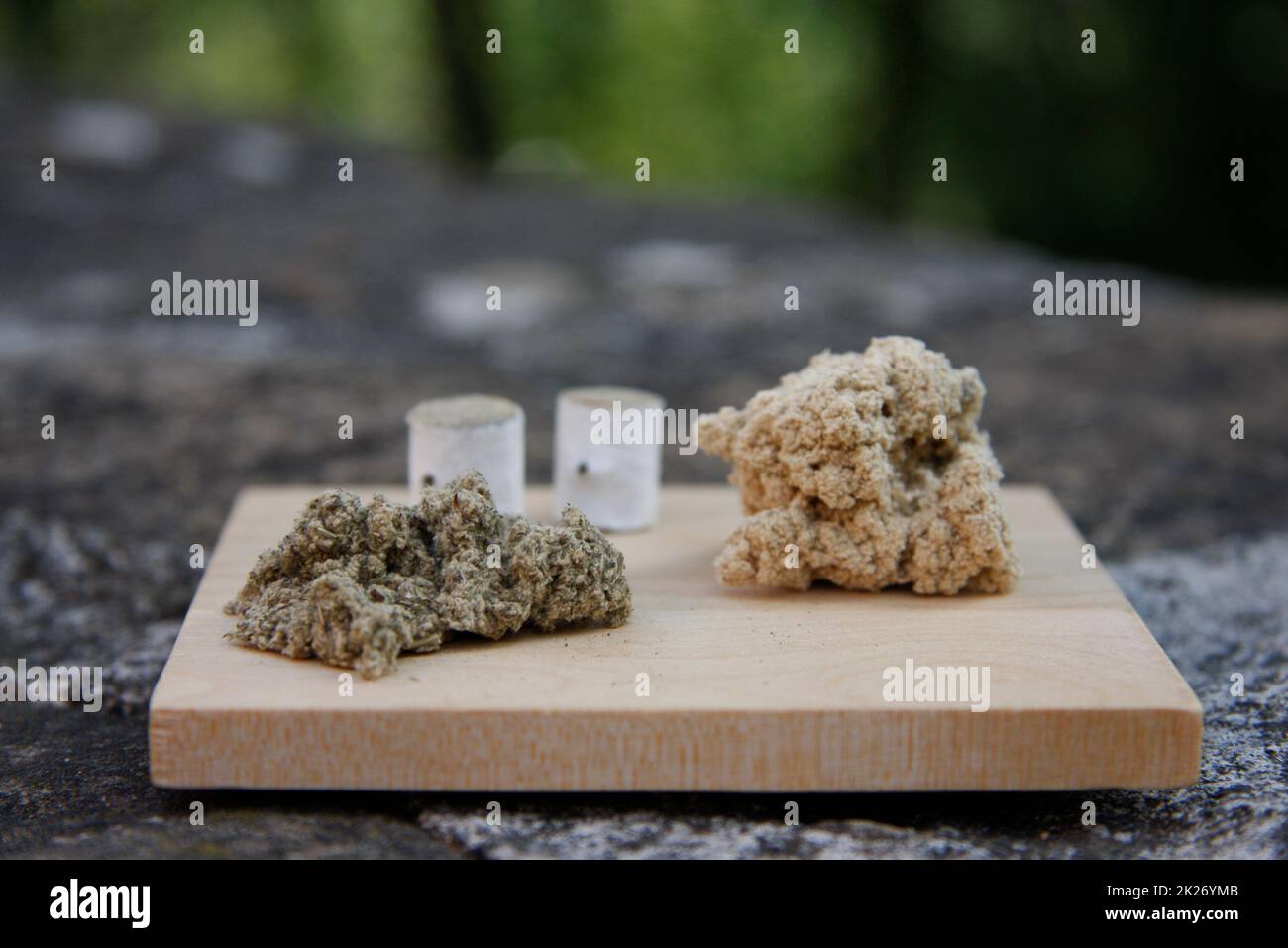 Frau entspannt sich von Akupunktur Verfahren. Ein Akupunkturist doong Akupunktur sehr genau. Traditionelle chinesische Medizin Stockfoto