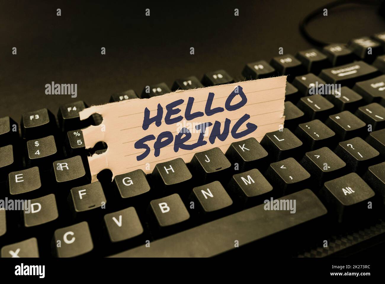 Schreiben von Text Hello Spring. Konzeptionelle Fotogruß für die frische Pflanzen und blühende Blumen Saison Neue E-Mail-Nachricht verfassen, Internet nach Informationen recherchieren Stockfoto