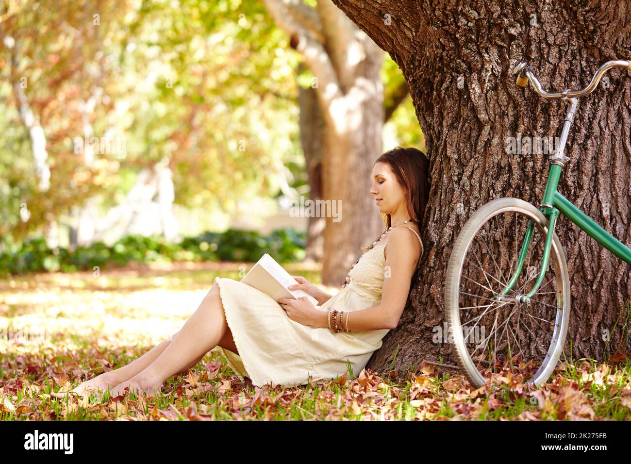 Buchliebhaber sind nie allein. Aufnahme einer attraktiven jungen Frau, die im Park ein Buch liest. Stockfoto