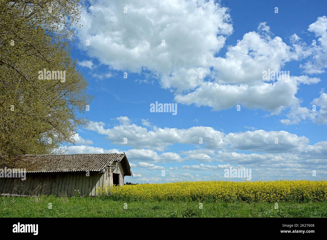 Altes altes feld Fotos und Bildmaterial in hoher Auflösung Alamy