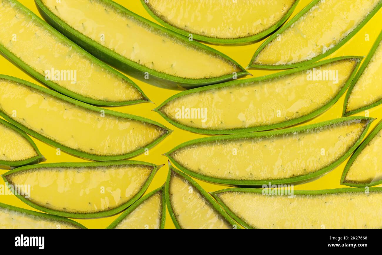Hintergrund frischer grüner Aloe Vera-Scheiben Stockfoto